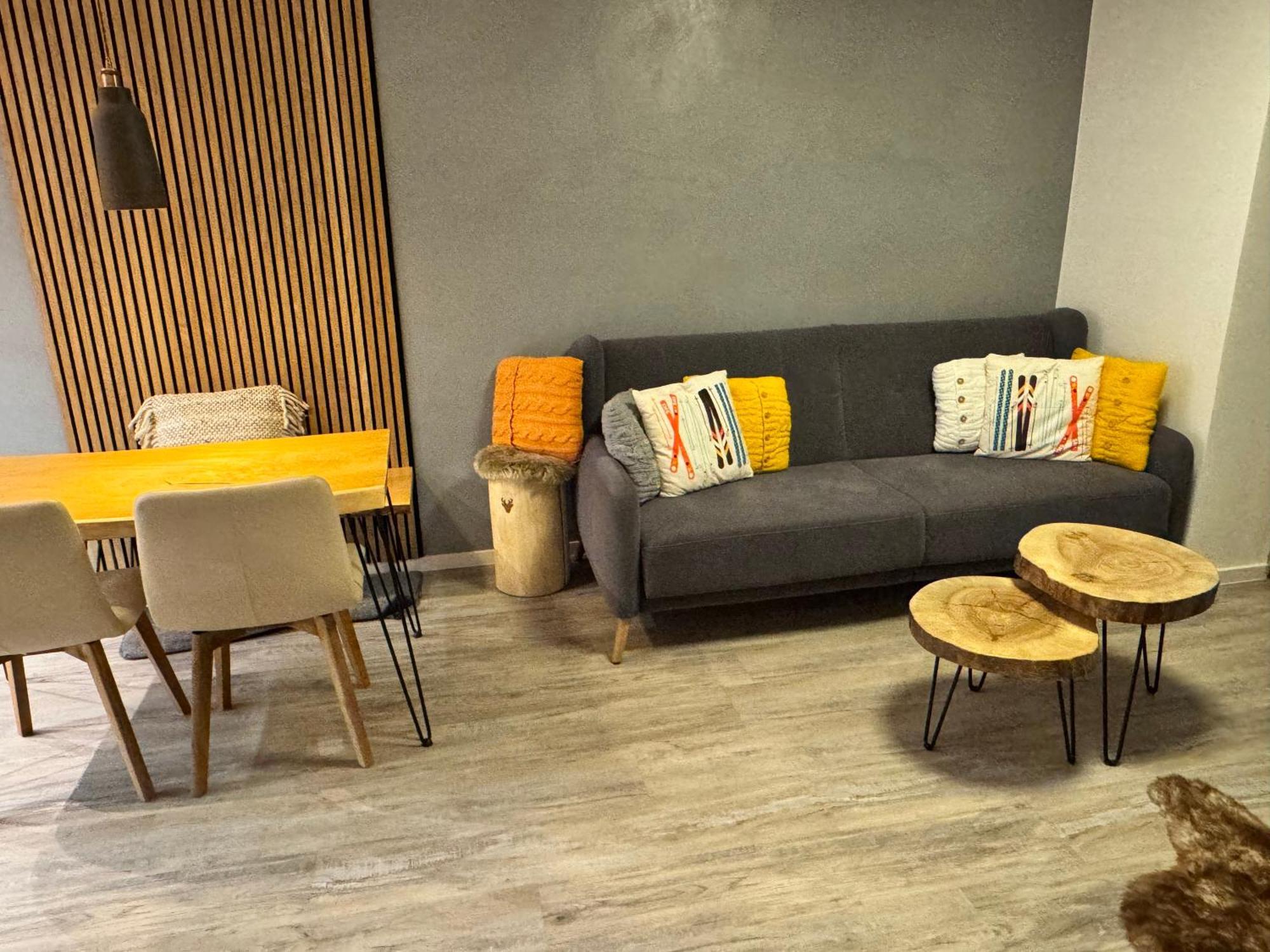 Apartman Vista Rokytnice 捷克布杰约维采 外观 照片