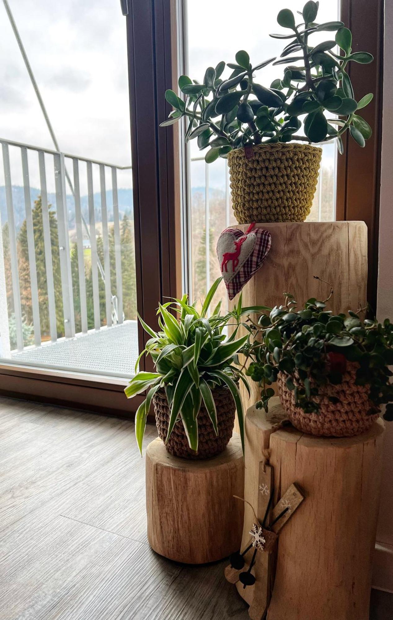 Apartman Vista Rokytnice 捷克布杰约维采 外观 照片